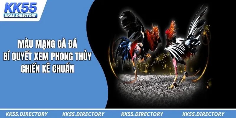Màu Mạng Gà Đá – Bí Quyết Xem Phong Thủy Chiến Kê Chuẩn